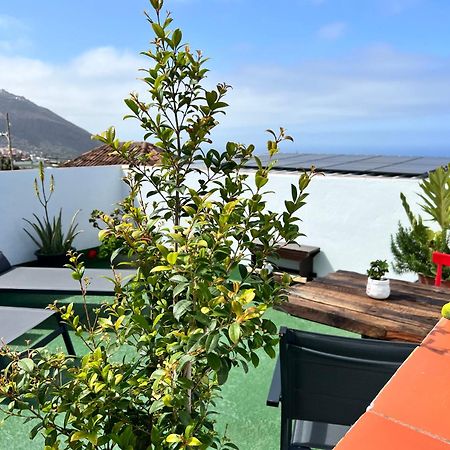 The Zarzamora Canary Little Home Los Realejos Exterior photo