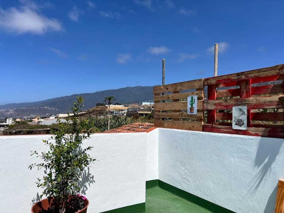 The Zarzamora Canary Little Home Los Realejos Exterior photo