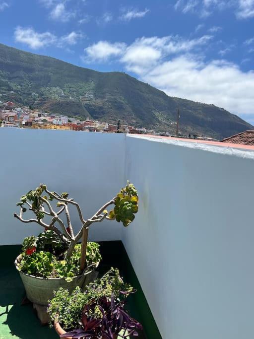 The Zarzamora Canary Little Home Los Realejos Exterior photo