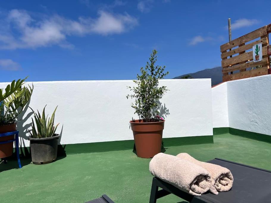 The Zarzamora Canary Little Home Los Realejos Exterior photo