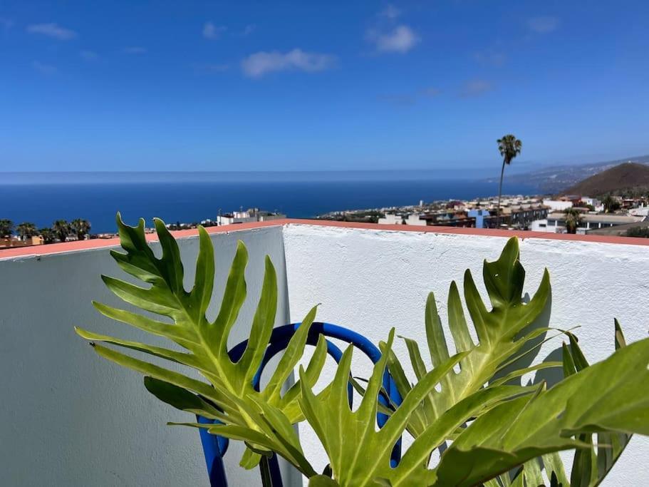 The Zarzamora Canary Little Home Los Realejos Exterior photo