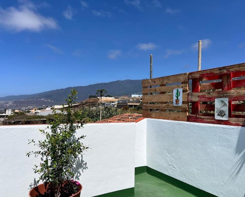 The Zarzamora Canary Little Home Los Realejos Exterior photo