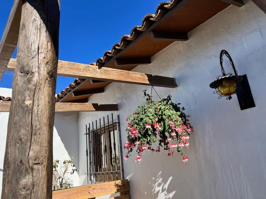 The Zarzamora Canary Little Home Los Realejos Exterior photo