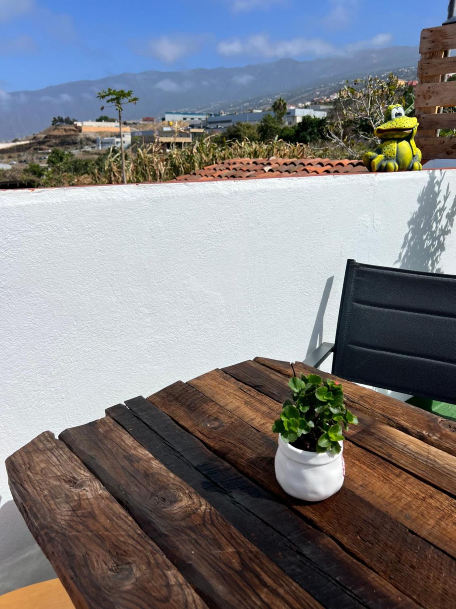 The Zarzamora Canary Little Home Los Realejos Exterior photo